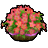 花の植木鉢・桃の画像