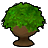 小さな緑の植木の画像