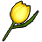 黄色チューリップ傘の画像