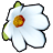 マグノリアの花飾りのアイコン画像