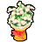 パールの花束のアイコン画像