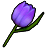 紫色チューリップ傘の画像